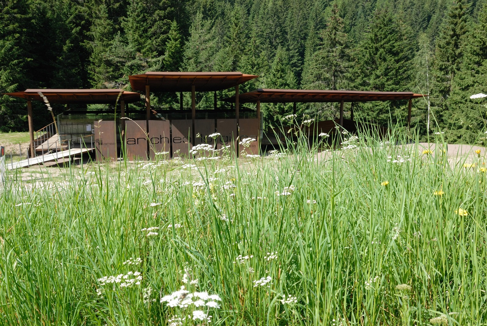 Esplorare ad Acqua Fredda: archeologia e natura